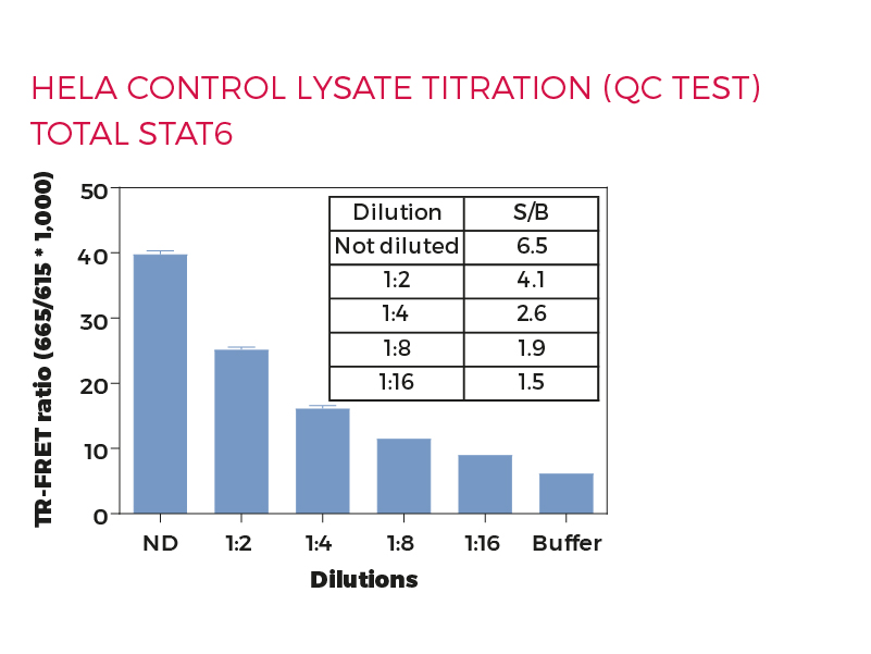 HeLa control lysate titration (QC Test) Total STAT6 HeLa control lysate titration (QC Test) Total STAT6