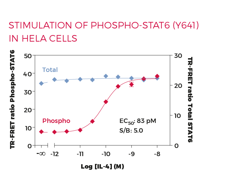 Stimulation of Phospho-STAT6 (Y641) in HeLa cells Stimulation of Phospho-STAT6 (Y641) in HeLa cells