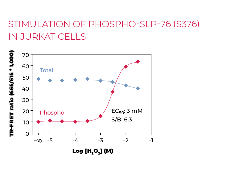 Stimulation of Phospho-SLP-76 (S376) in Jurkat cells Stimulation of Phospho-SLP-76 (S376) in Jurkat cells