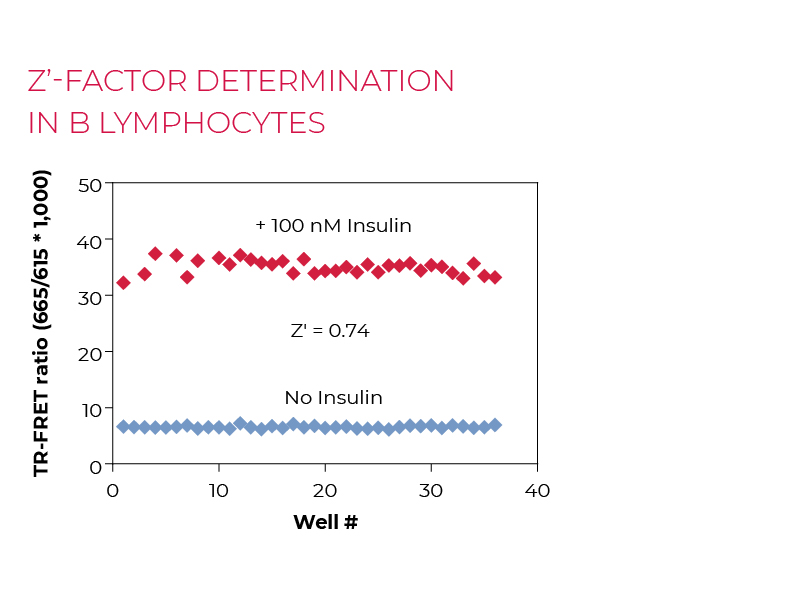Z'-factor determinationin B lymphocytes Z'-factor determinationin B lymphocytes