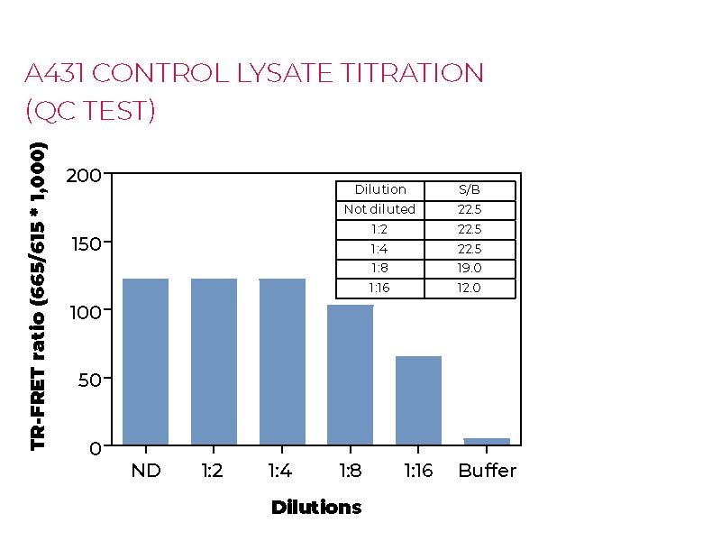 A431 control lysate titration (QC Test) A431 control lysate titration (QC Test)