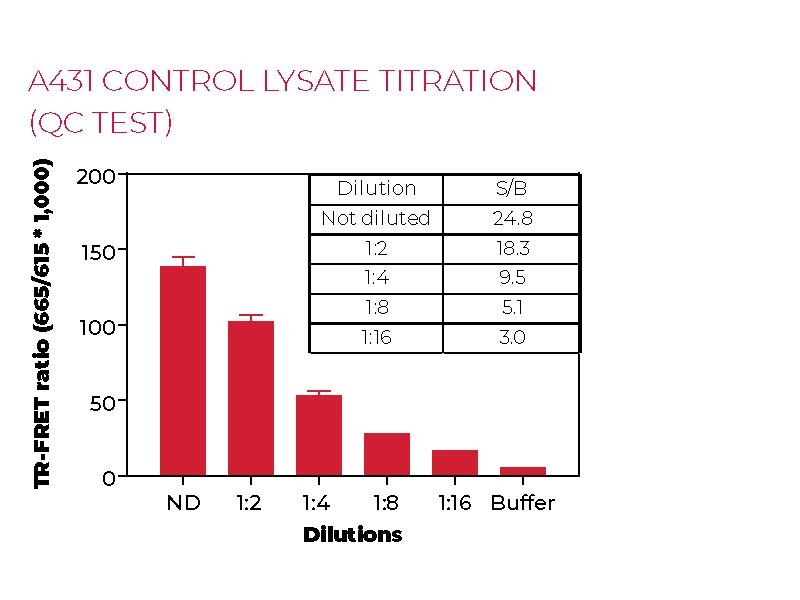 A431 control lysate titration (QC Test) A431 control lysate titration (QC Test)