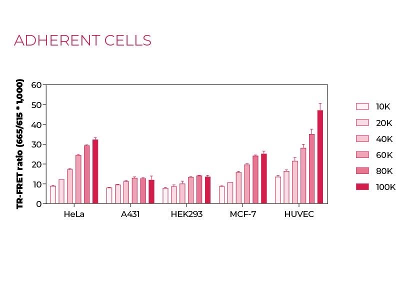 Total GAPDH Adherent-cells Total GAPDH Adherent cells