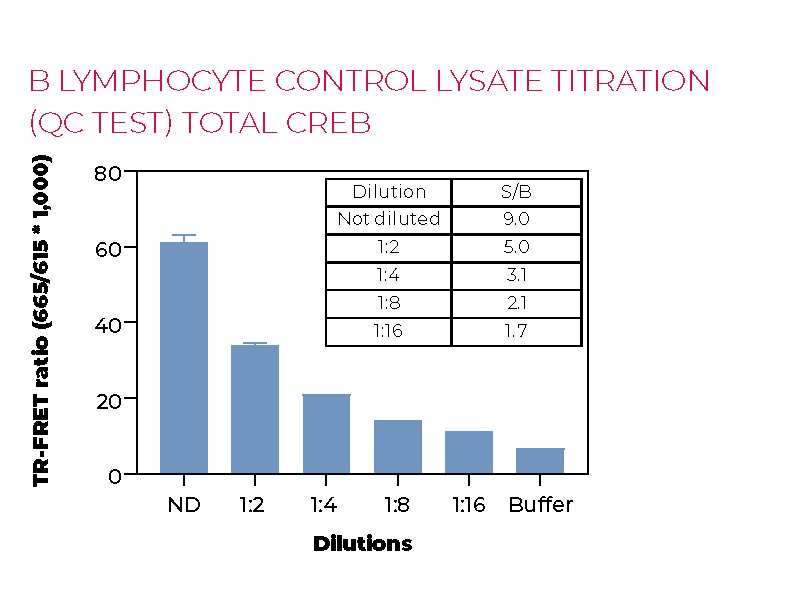 lymphocyte B lymphocyte control lysate titration (QC-test) Total CREB