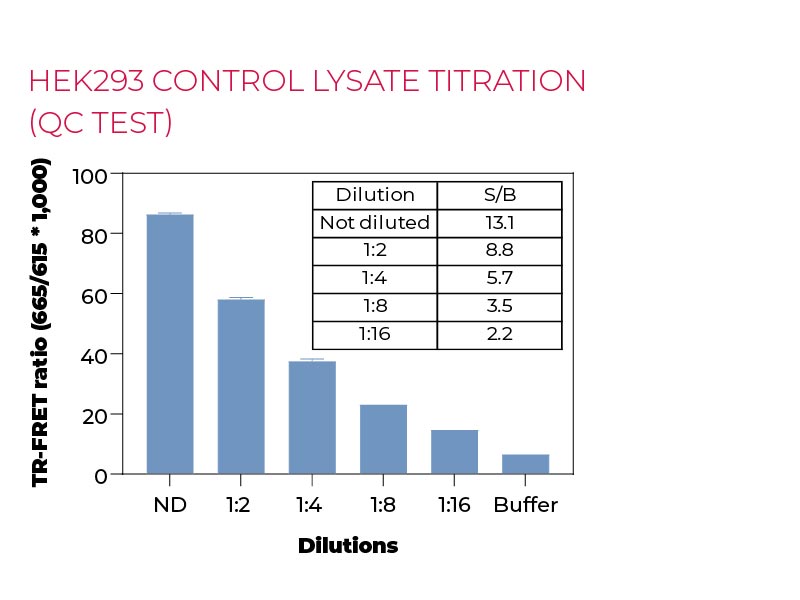 HEK293 control lysate titration (QC Test) HEK293 control lysate titration (QC Test)