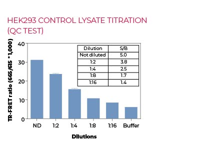 HEK293 control lysate titration (QC Test) HEK293 control lysate titration (QC Test)