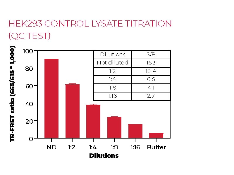 HEK293 control lysate titration (QC Test) HEK293 control lysate titration (QC Test)