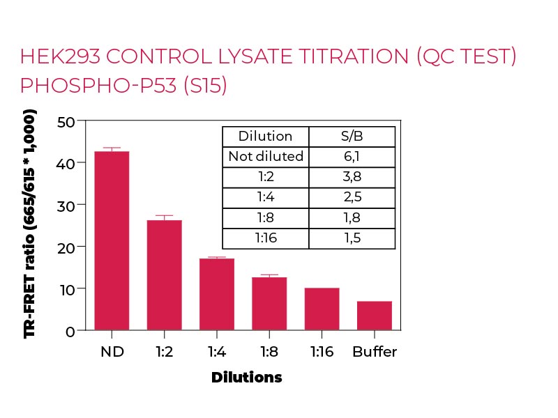 HEK293 control lysate titration (QC Test) Phospho-P53(S15) HEK293 control lysate titration (QC Test) Phospho-P53(S15)