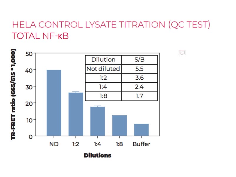 HeLa control lysate titration (QC Test) total NF-kB HeLa control lysate titration (QC Test) total NF-kB