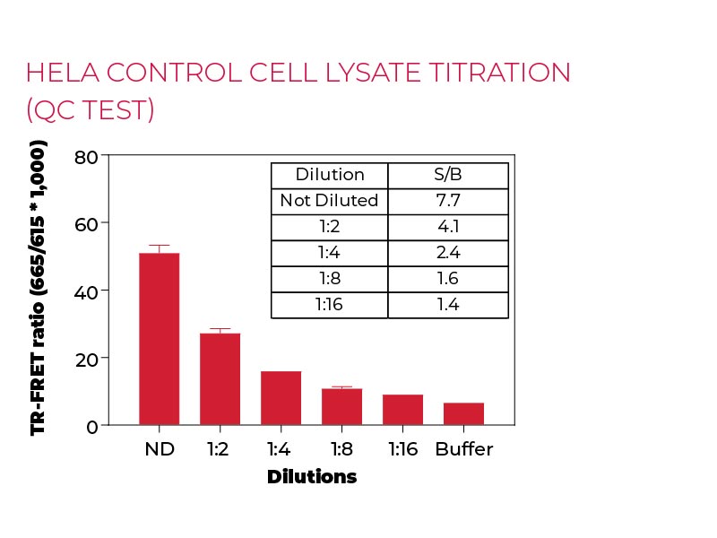 Hela Control cell lysate titration (QC Test) Hela Control cell lysate titration (QC Test)