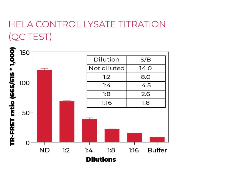 HeLa Control lysate titration (QC Test) HeLa Control lysate titration (QC Test)