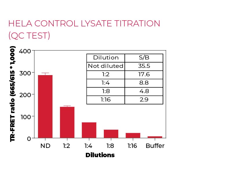 HeLa Control lysate titration (QC Test) HeLa Control lysate titration (QC Test)