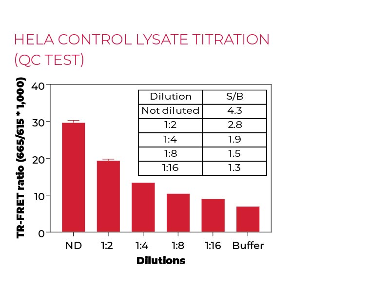 Hela control lysate titration (QC Test) Hela control lysate titration (QC Test)