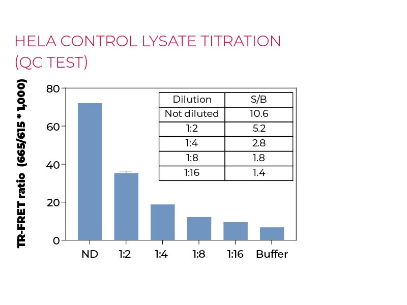 HeLa control lysate titration (QC Test) HeLa control lysate titration (QC Test)