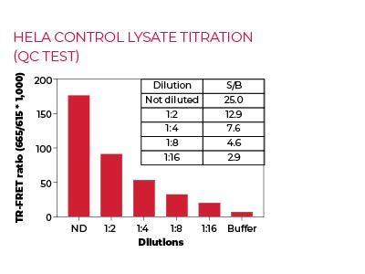 HeLa control lysate titration (QC Test) HeLa control lysate titration (QC Test)