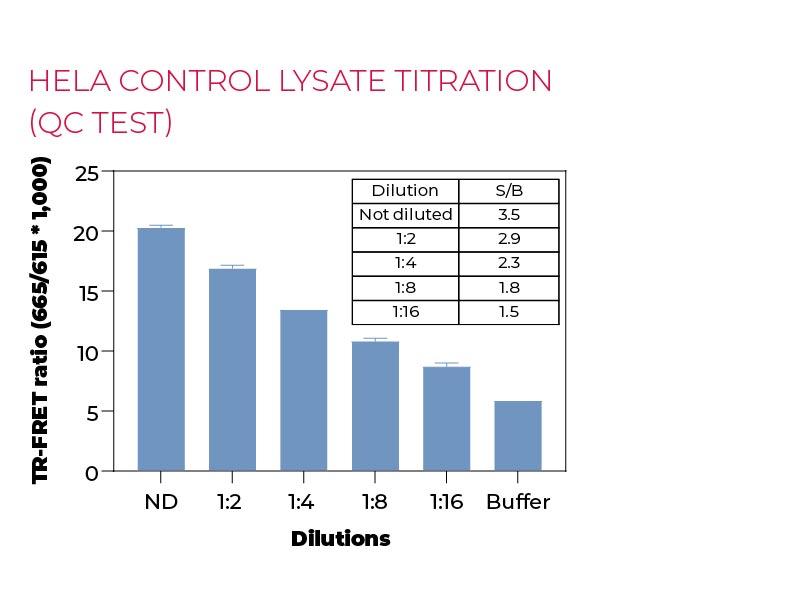 Hela control lysate titration (QC Test) Hela control lysate titration (QC Test)