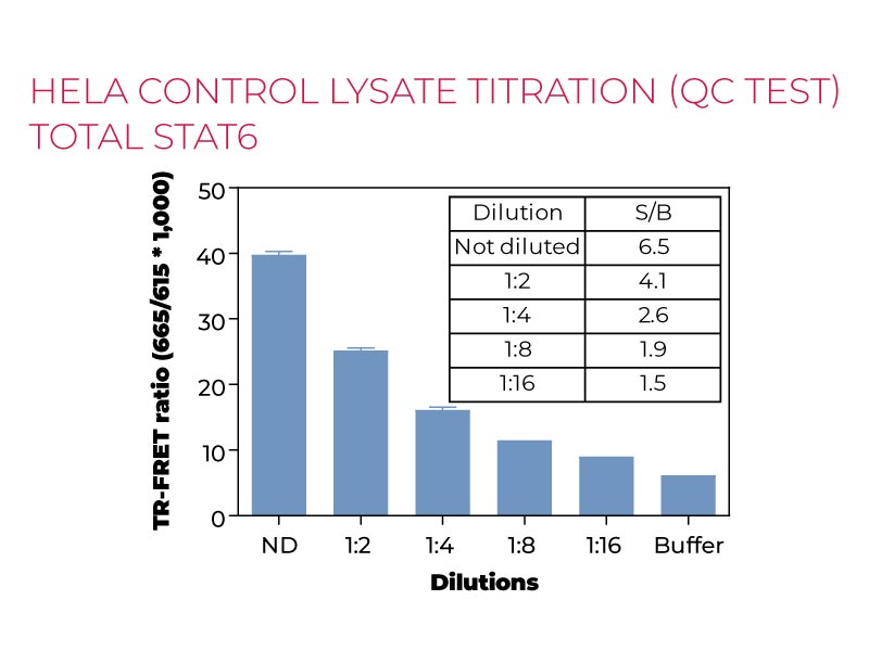 HeLa control lysate titration Total STAT6 HeLa control lysate titration Total STAT6
