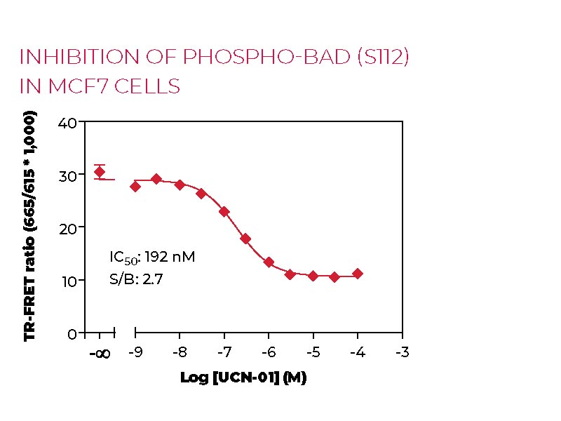 Inhibition of Phospho-BAD (S112) in MCF7 cells Inhibition of Phospho-BAD (S112) in MCF7 cells