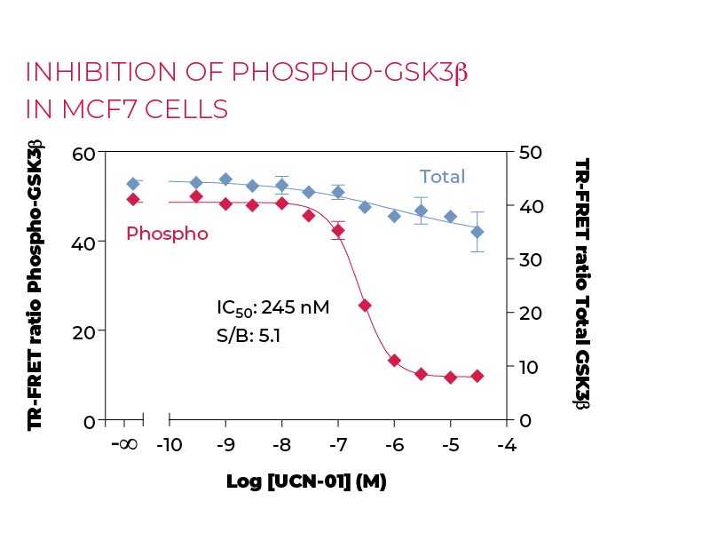 Inhibition of Phospho-GSK3β in MCF7 cells Inhibition of Phospho-GSK3β in MCF7 cells