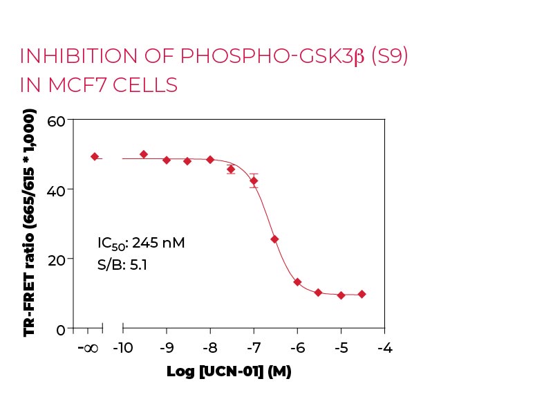 Inhibition of Phospho-GSK3b (S9) in MCF7 cells Inhibition of Phospho-GSK3b (S9) in MCF7 cells