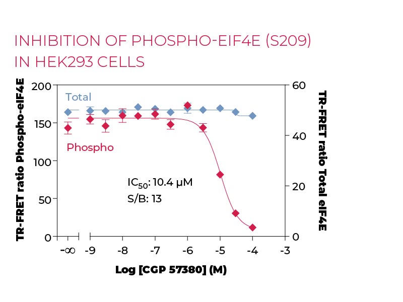 Inhibition of Phospho-eIF4E (S209) in HEK293 cells Inhibition of Phospho-eIF4E (S209) in HEK293 cells