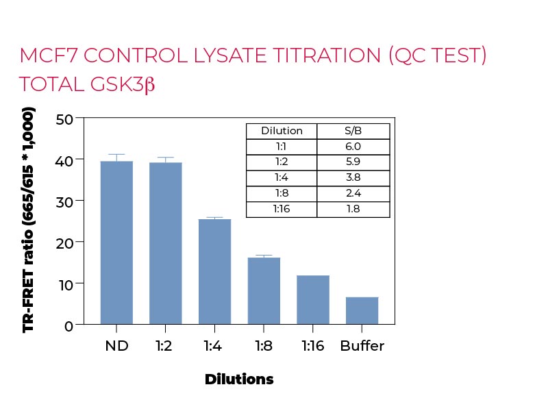 MCF7 control lysate titration (QC Test) TOTAL GSK3β
