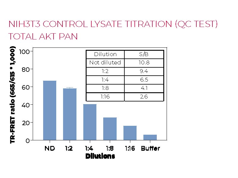 NIH3T3 control lysate titration (QC test) Total AKT pan NIH3T3 control lysate titration (QC test) Total AKT pan