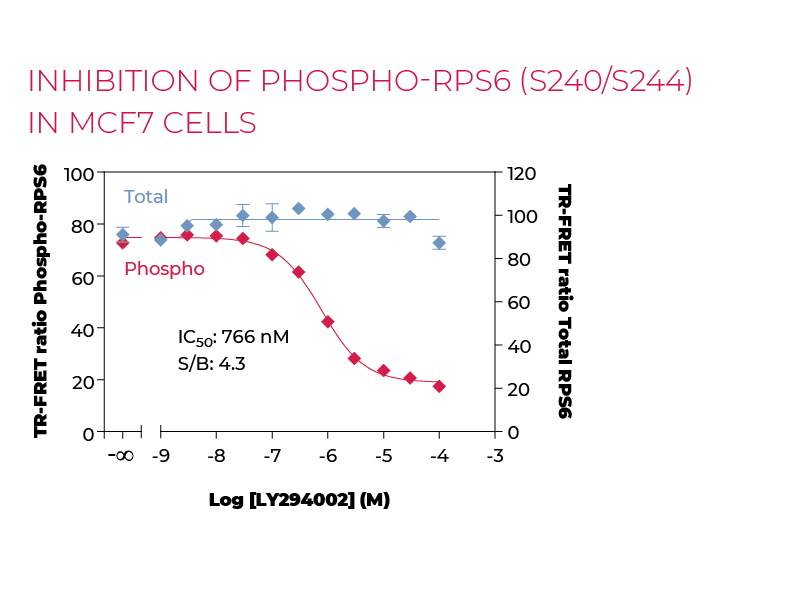 Inhibition of Phospho-RPS6 (S240/S244) in MCF7 cells