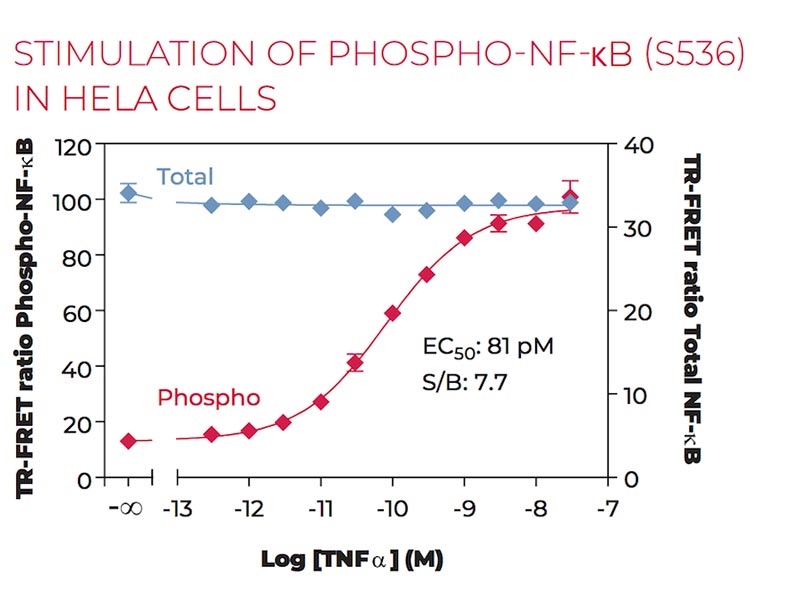 Stimulation of Phospho-NF-kB (S536) in HeLa cells Stimulation of Phospho-NF-kB (S536) in HeLa cells