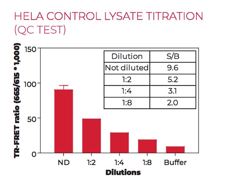 HeLa control lysate titration (QC Test) HeLa control lysate titration (QC Test)