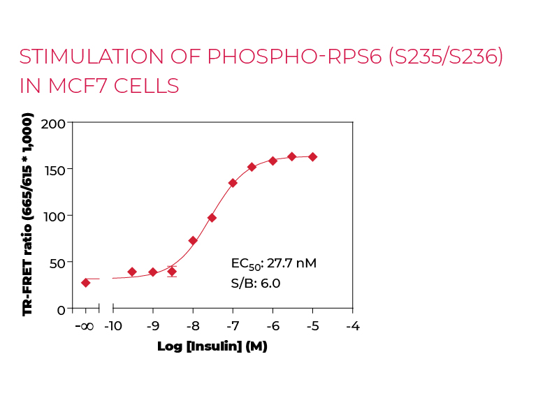 Stimulation of Phospho-RPS6 (S235/S236) in MCF7 cells Stimulation of Phospho-RPS6 (S235/S236) in MCF7 cells