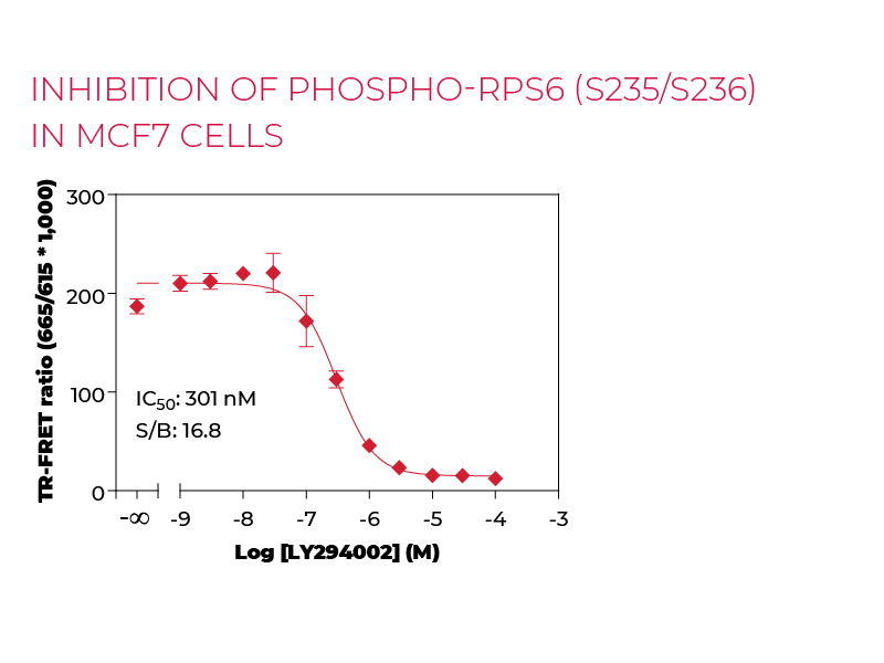inhibition of Phospho-RPS6 (S235/S236) in MCF7 cells inhibition of Phospho-RPS6 (S235/S236) in MCF7 cells