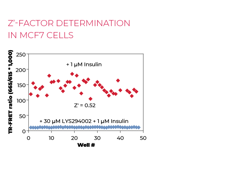 Z'-factor determination in MCF7 cells Z'-factor determination in MCF7 cells