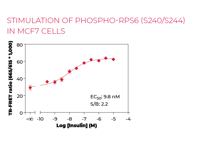 Stimulation of Phospho-RPS6 (S240/S244) in MCF7 cells Stimulation of Phospho-RPS6 (S240/S244) in MCF7 cells