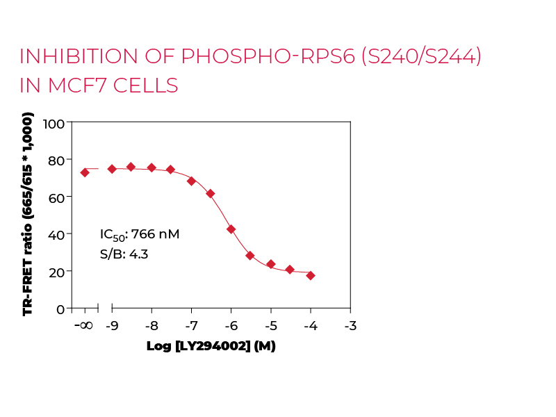 Inhibition of Phospho-RPS6 (S240/S244) in MCF7 cells Inhibition of Phospho-RPS6 (S240/S244) in MCF7 cells