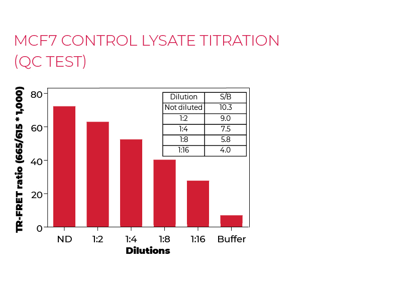 MCF7 control lysate titration (QC Test) MCF7 control lysate titration (QC Test)