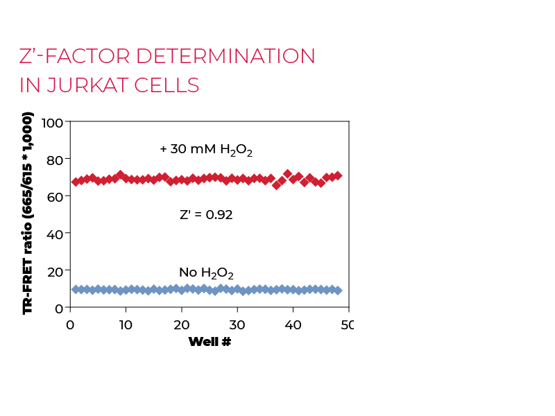 Z'-factor determination in Jurkat cells Z'-factor determination in Jurkat cells