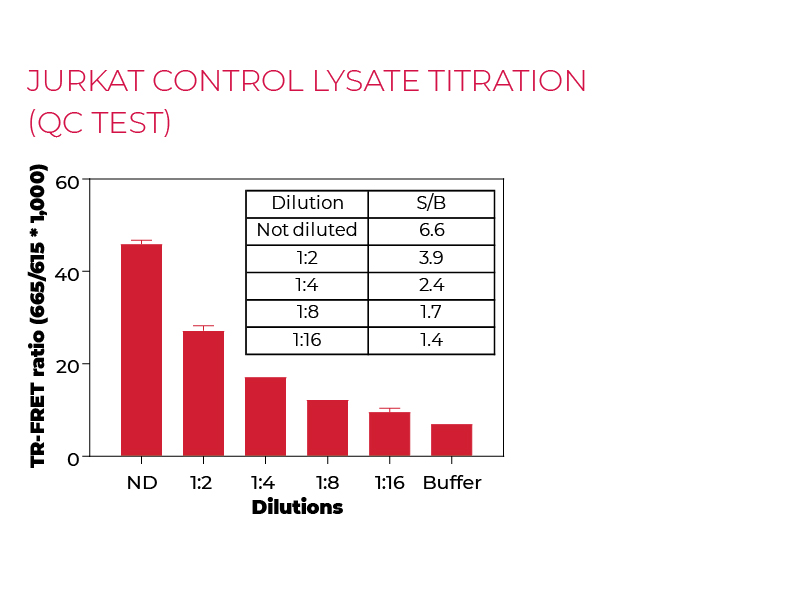 Jurkat control lysate titration (QC Test) Jurkat control lysate titration (QC Test)