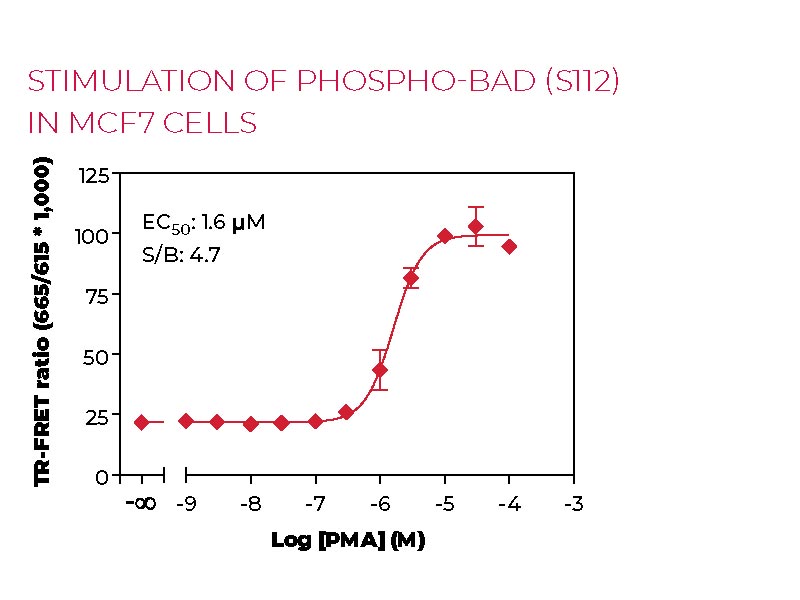 Stimulation of Phospho-BAD (S112) in MCF7 cells Stimulation of Phospho-BAD (S112) in MCF7 cells