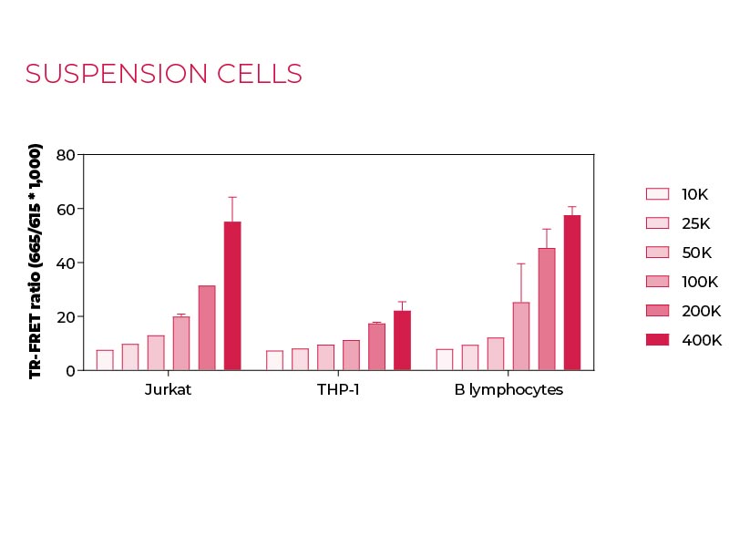 Suspension Total GAPDH Suspension cells
