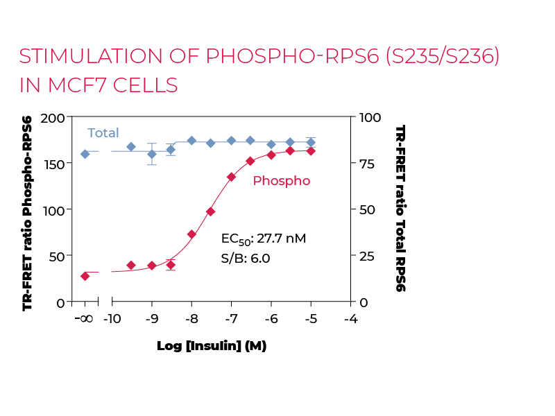 Stimulation of Phospho-RPS6 (S235/S236) in MCF7 cells Stimulation of Phospho-RPS6 (S235/S236) in MCF7 cells