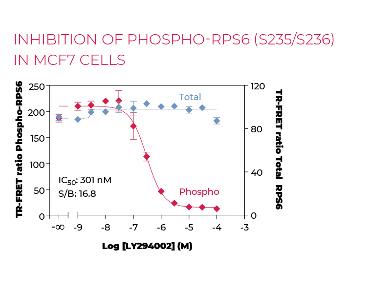Inhibition of Phospho-RPS6 (S235/S236) in MCF7 cells Inhibition of Phospho-RPS6 (S235/S236) in MCF7 cells