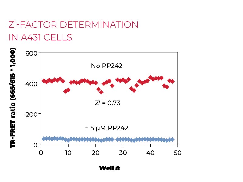 Z-factor determination in A431 cells Z-factor determination in A431 cells