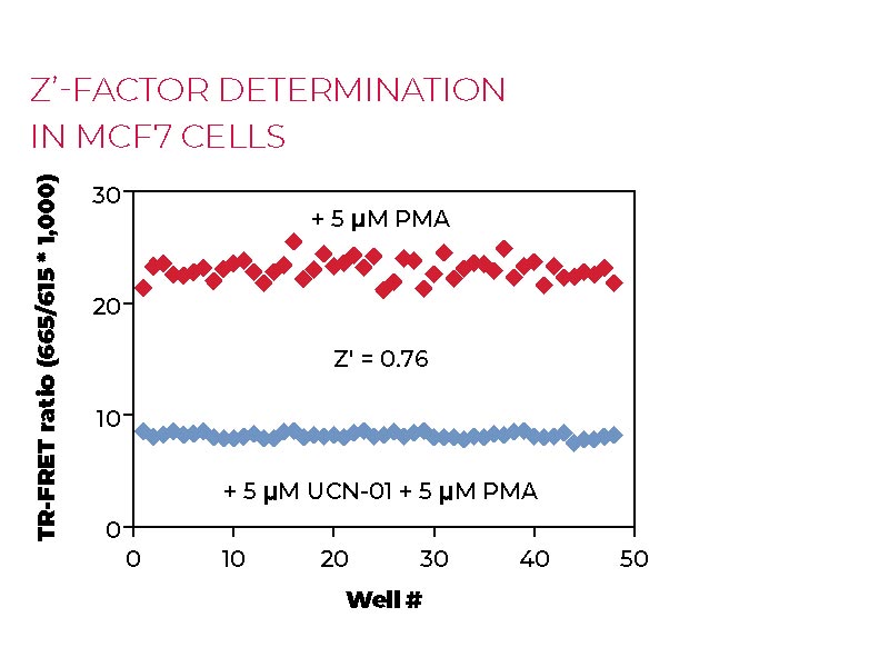 Z'-factor determination in MCF7 cells Z'-factor determination in MCF7 cells