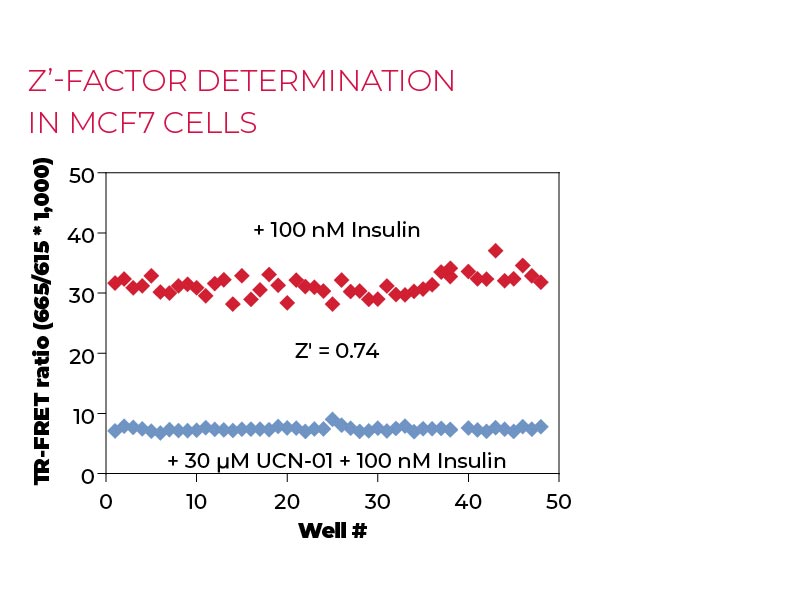 Z'-factor determination in MCF7 cells Z'-factor determination in MCF7 cells