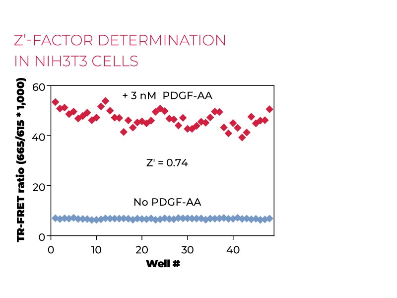 Z'-factor determination-Phospho-AKT pan (S473) in NIH3T3 cells Z'-factor determinationPhospho in NIH3T3 cells