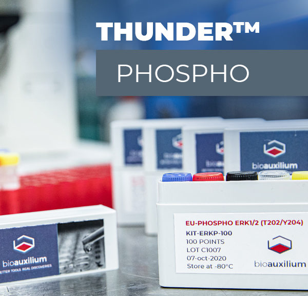 THUNDER™ Phospho-p70 S6K (T389) TR-FRET Cell Signaling Assay Kit