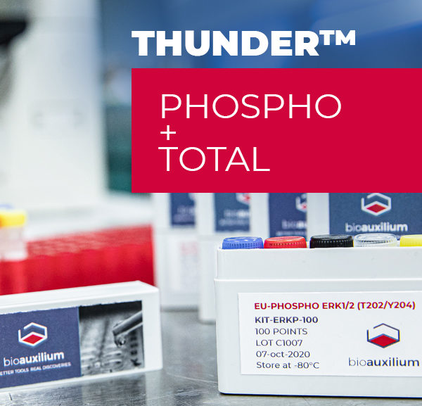 THUNDER™ Phospho-NF-kB (S536) + Total NF-kB TR-FRET Cell Signaling Assay Kit