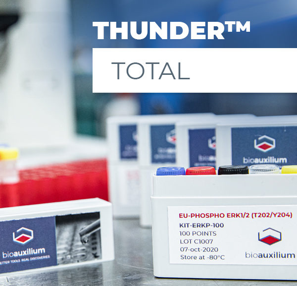 THUNDER™ Total p70 S6K TR-FRET Cell Signaling Assay Kit