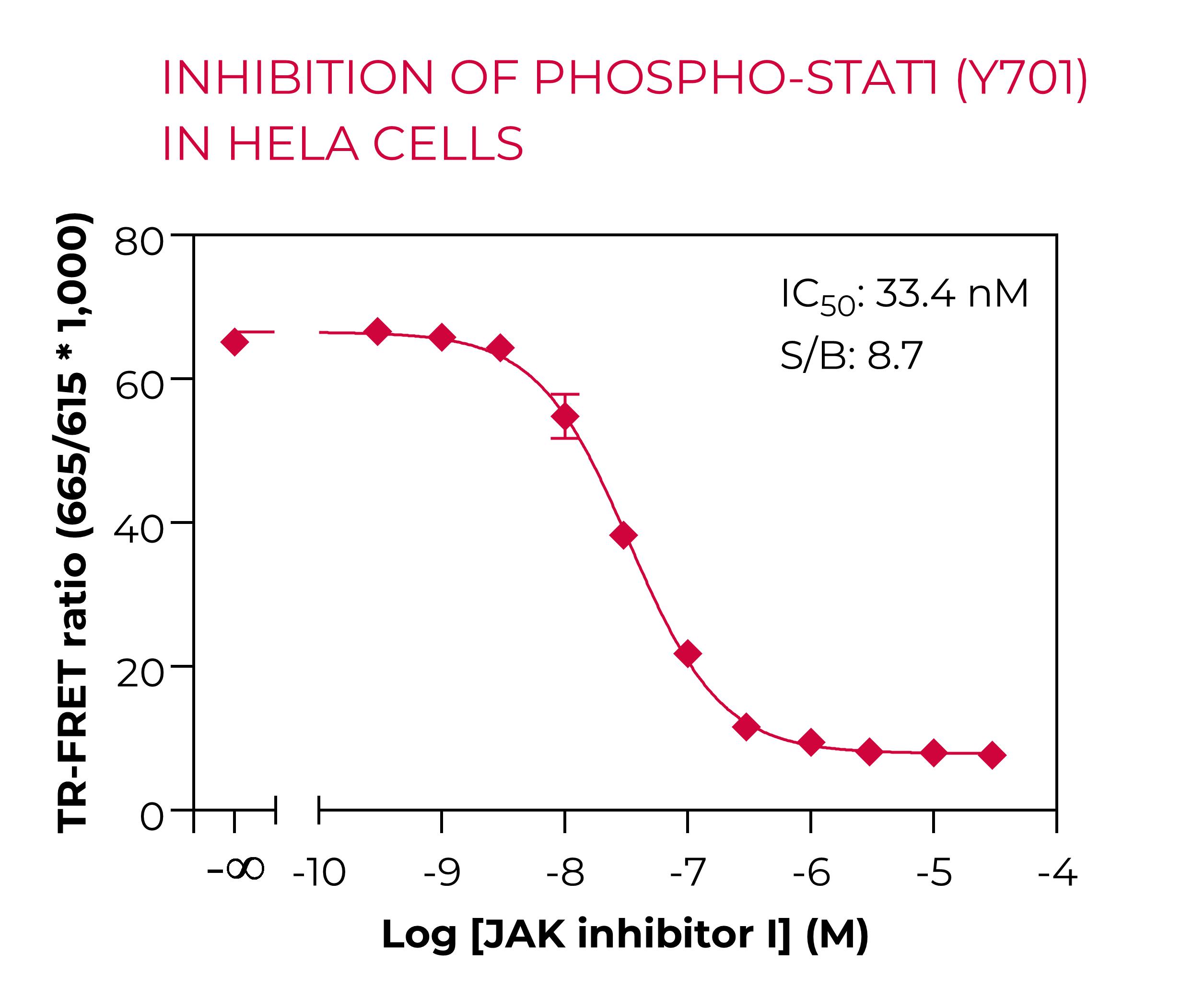 Inhibition of Phospho-STAT1 in HeLa cells Inhibition of Phospho-STAT1 in HeLa cells